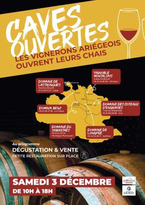 portesouvertes_vinariege_vinbio_fetesdenoel_redwine_christmas_epicurien