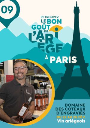 vin ariege_vin bio_ igp ariege_meilleur vin bio