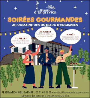 vinbio_vinariege_vinnature_pyrenees_redwine_soireegourmandes