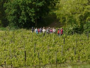 vin ariege bio vin des pyrenees oenotourisme